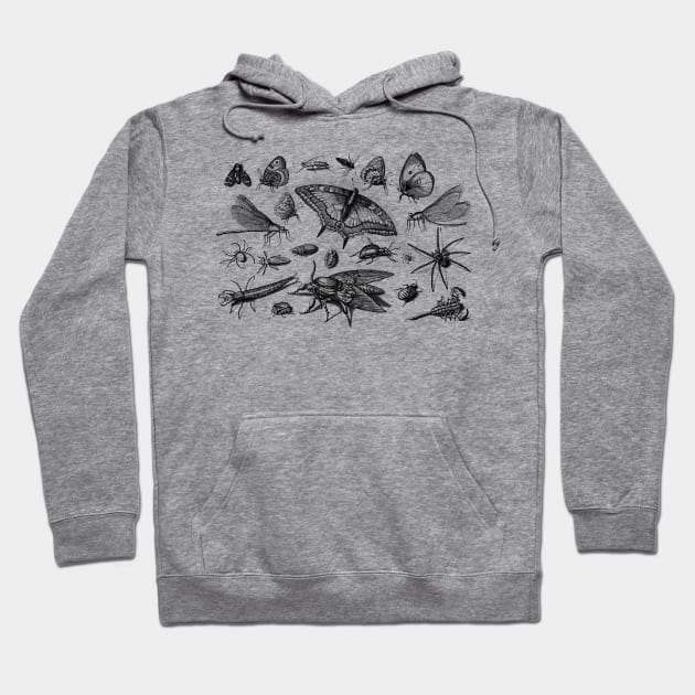 Insects Hoodie by AltrusianGrace